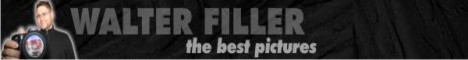 Walter Filler